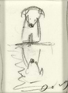 Paws for Reflection III (study)