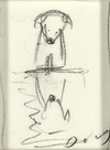 Paws for Reflection III (study)
