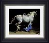 Arabian VII (Framed)