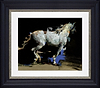 Arabian VII (Framed)