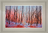 Forest of Light (Framed)