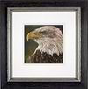 The Eagle Has Landed (Framed)