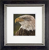The Eagle Has Landed (Framed)