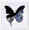 Butterfly- Black and Blue
