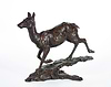 Red Deer Hind - 2012