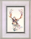Fallow Stag Portrait (Framed)