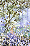 Peaceful Spring VI
