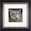 Emergence (Framed)