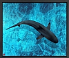 Duskey Blue (Framed)