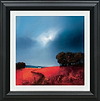 Crimson Fields of Home (Framed)