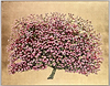 Ophelia Flowering Cherry Blossom (Framed)