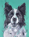 Collie Affection