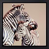 Two of a Kind (Framed)