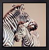 Two of a Kind (Framed)