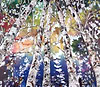Silver Birch Forever