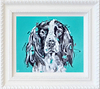 Springer Sparkle (Framed)