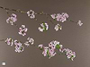 Pink Cherry Blossom II