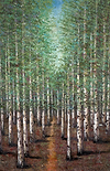 A Woodland Pathway III