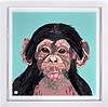Cheeky Chimp (Framed)