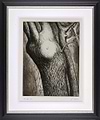 Trees VI: Dead Ash (Framed)