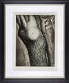 Trees VI: Dead Ash (Framed)