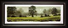Buttercups (study) (Framed)