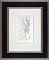 Bedroom Shadows (Framed)