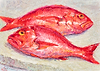 Red Snappers V