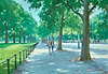 Along The Mall
