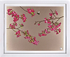 Cherry Blossom and Bumble Bee (Framed)