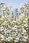 Meadow in Bloom III