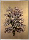 Woodland Beauty II (Framed)