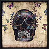 Butterfly Skull II (Framed)