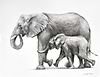 Elephants Happy Together