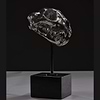 Cheetah Skull - 2020