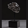 Cheetah Skull - 2020