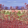 Poppy Melodies