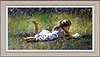 Poetry in the Meadow (Framed)