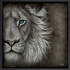 Endless Patience (Framed)