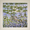 Forest Bluebells (Framed)