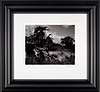 Becky in Uprooted Tree, 1984 (Framed)