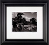Becky in Uprooted Tree, 1984 (Framed)