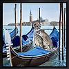 Venetian Romance (Framed)