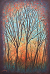 Woodland Sunset
