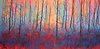 Magic Forest