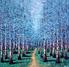 A Forest pathway III