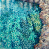 Shining Emerald Sea