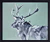 Cherished Stag (Framed)