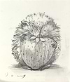 The Gift IV (Sketch)