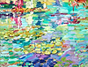 Foxhill Waterlilies